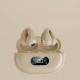 EarBuds