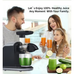 150W Slow Mill Horizontal Raw Juice 80RPM Slow Juice Squeezer