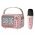 Microphone Pink   + $8.66