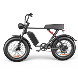 C91 - 20 Inch 20A Electric Bike ---- Purchase Style, Please Check The Details