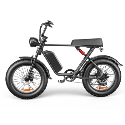 C91 - 20 Inch 20A Electric Bike ---- Purchase Style, Please Check The Details